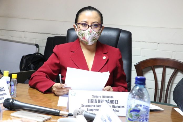 Diputada Ligia Hernández