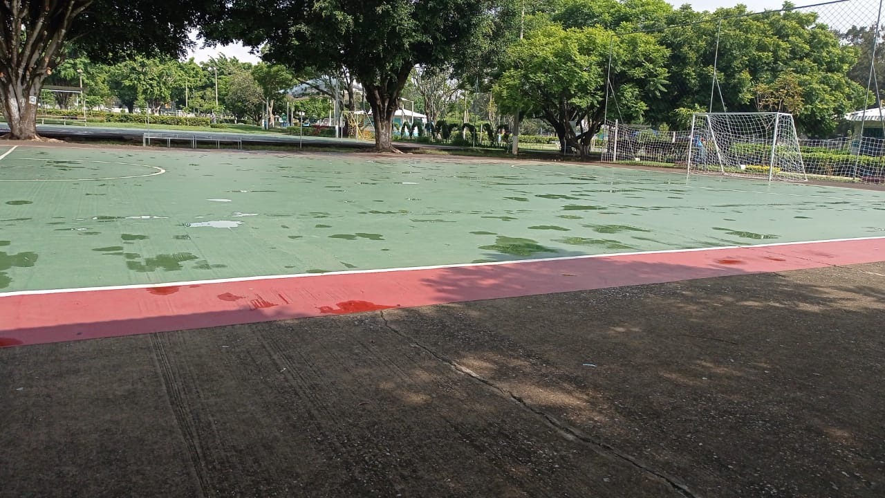 Perros de compañía podrán ingresar a parques deportivos administrados por el MCD