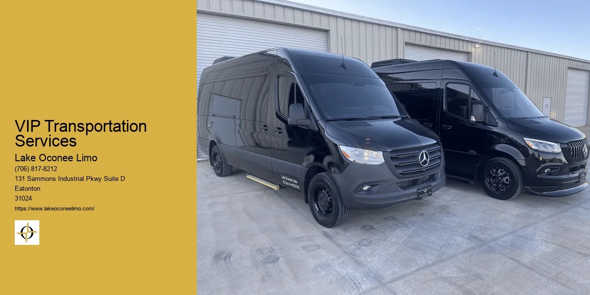 VIP Transportation Services