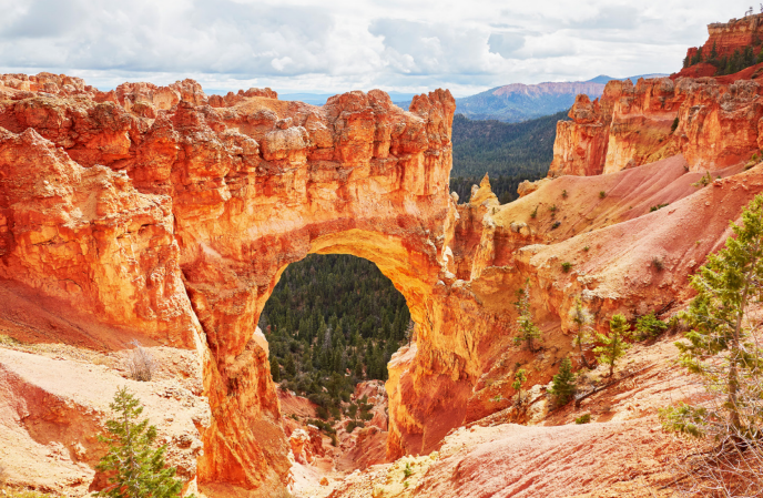 Arizona and Utah