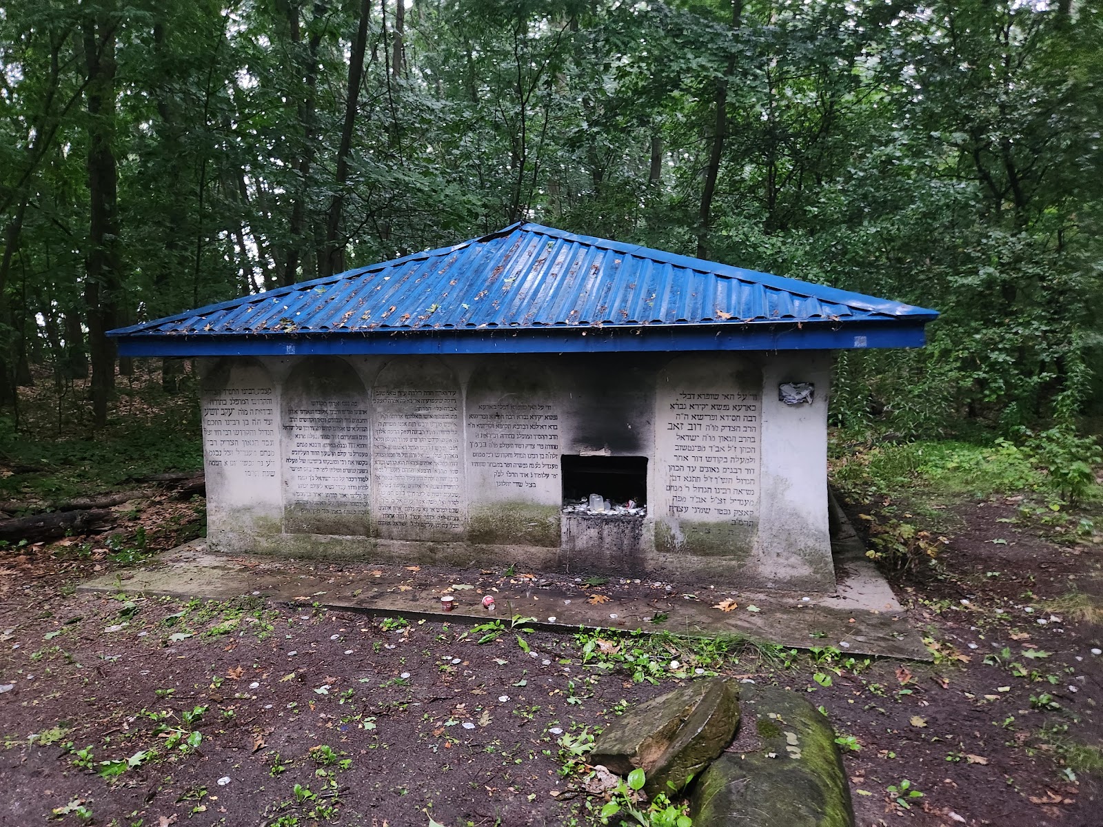 Walden Woods Trip