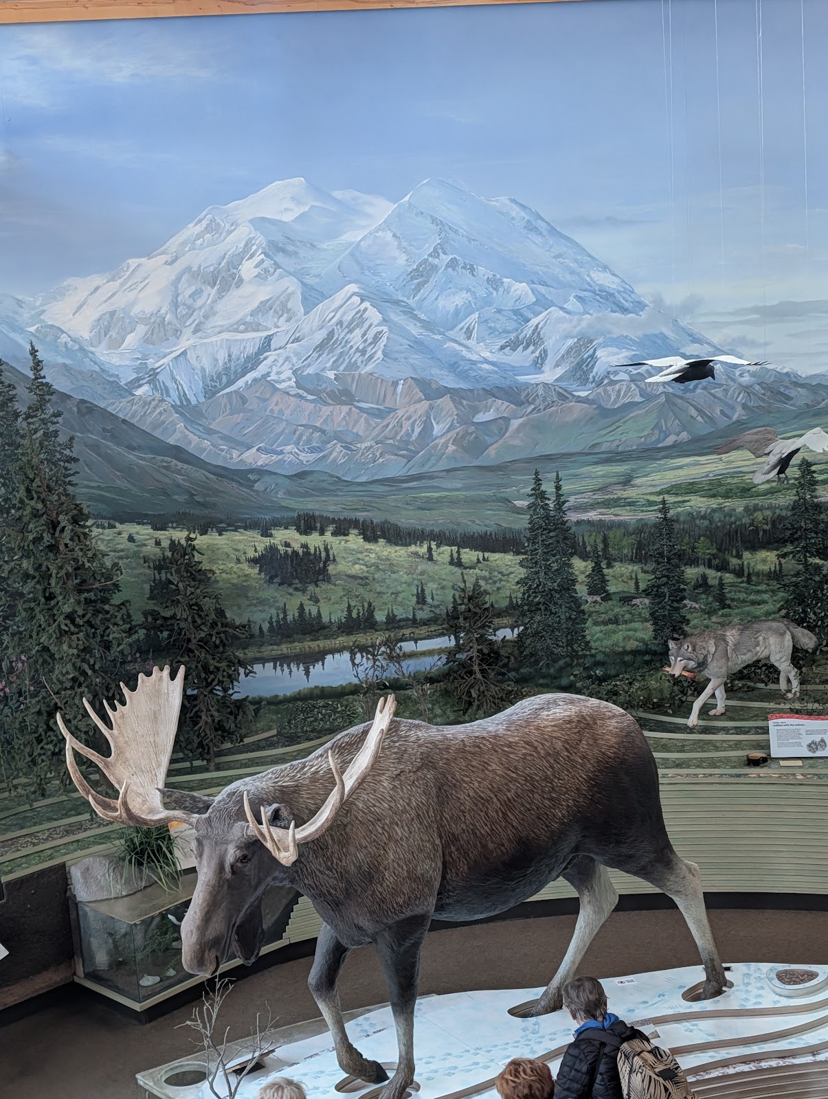 Alaska | August 16-20