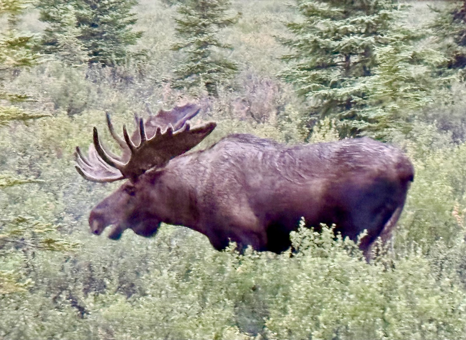 Alaska | August 16-20
