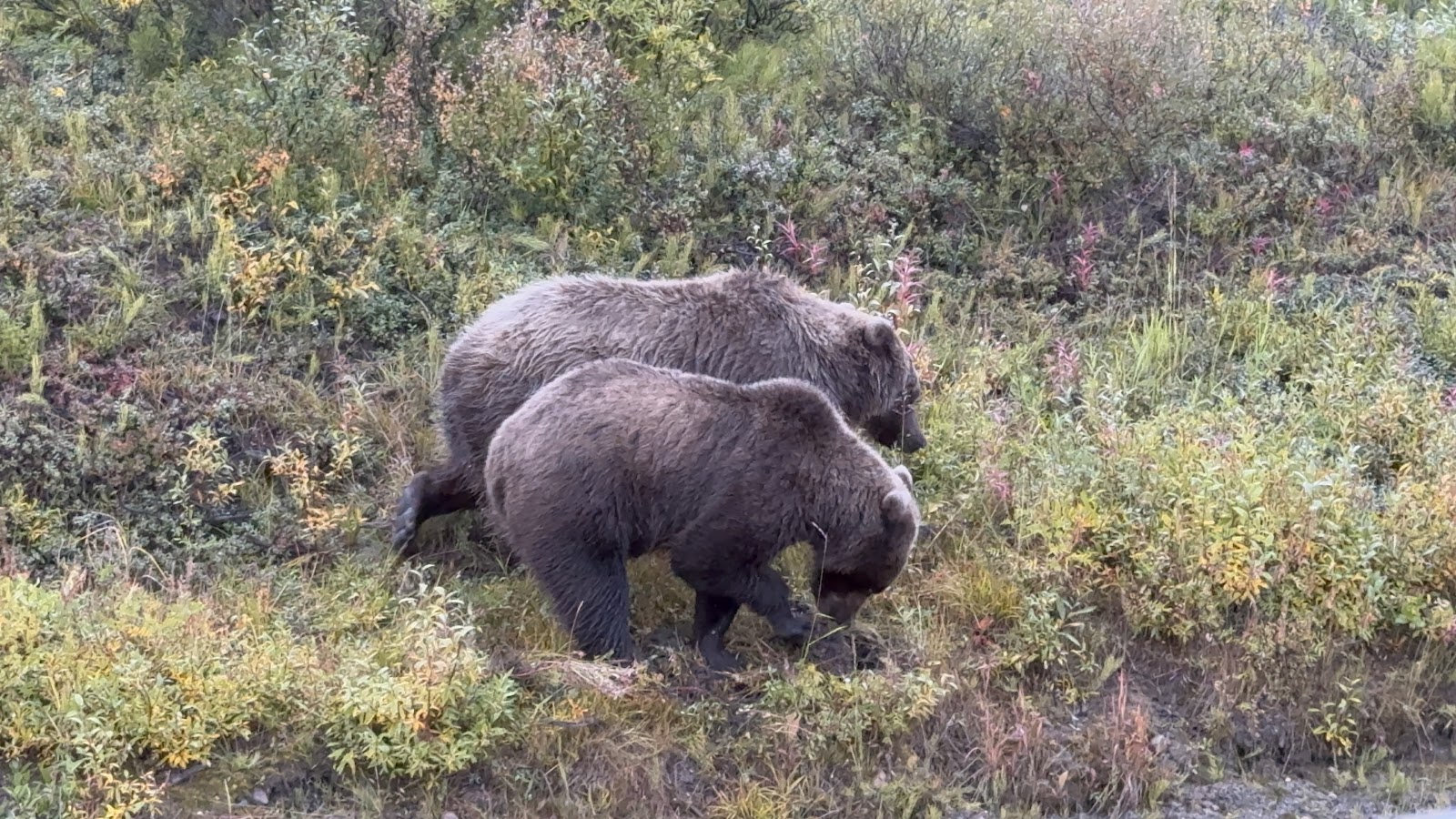Alaska | August 16-20