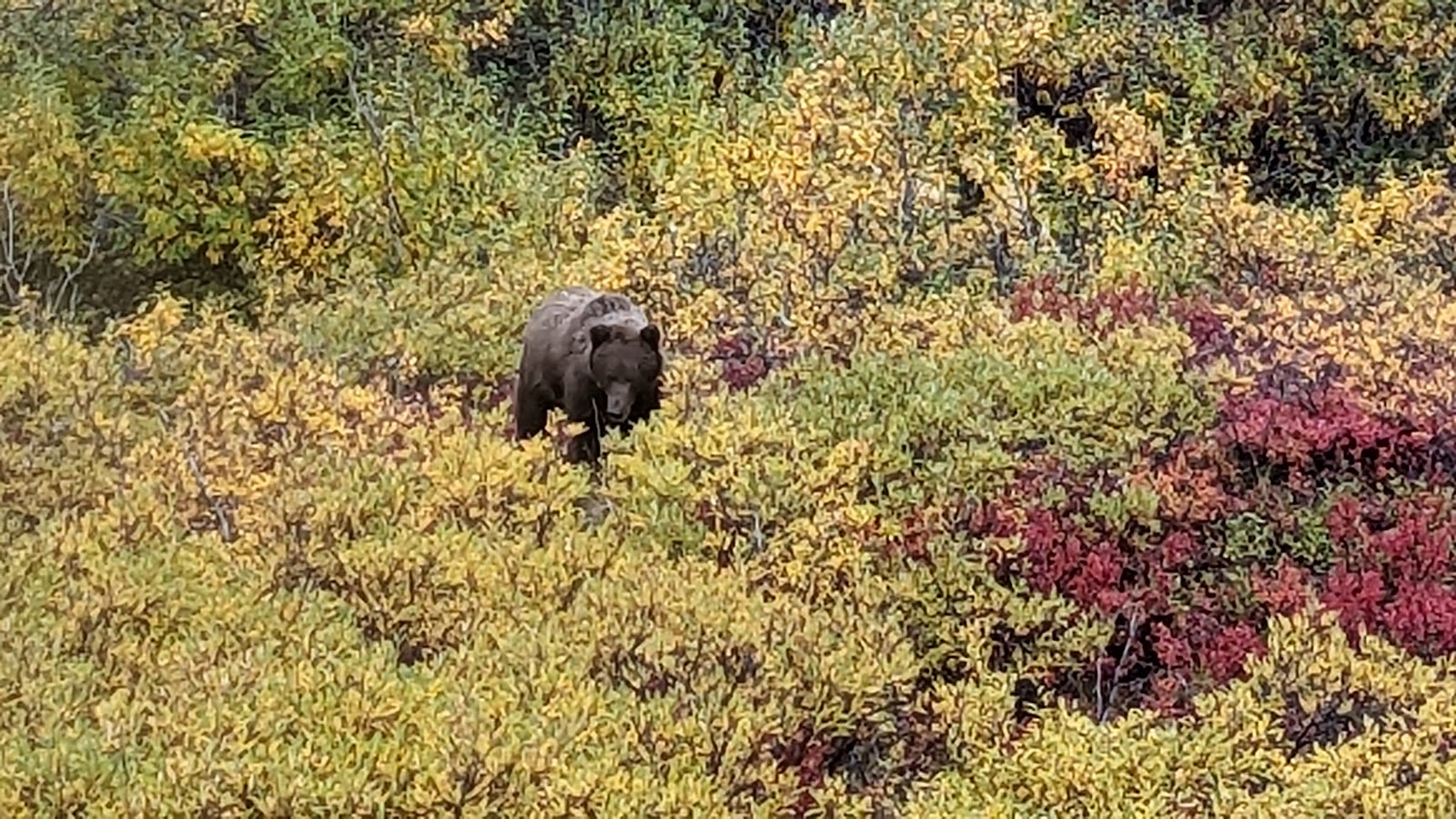 Alaska | August 16-20
