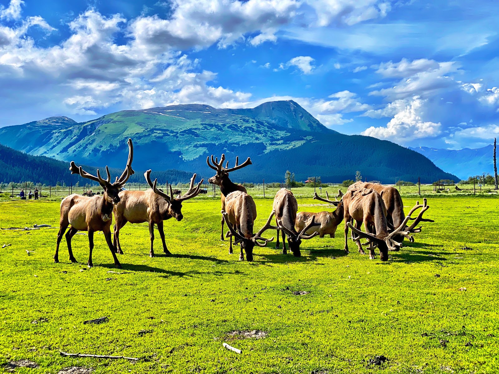 Alaska | August 16-20