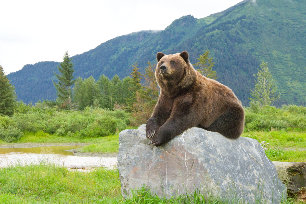 Alaska | August 16-20