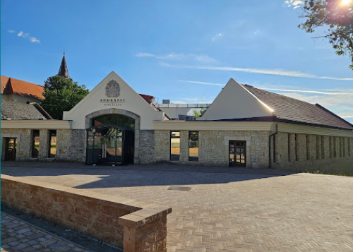 Andrassy Hotel Tarcal