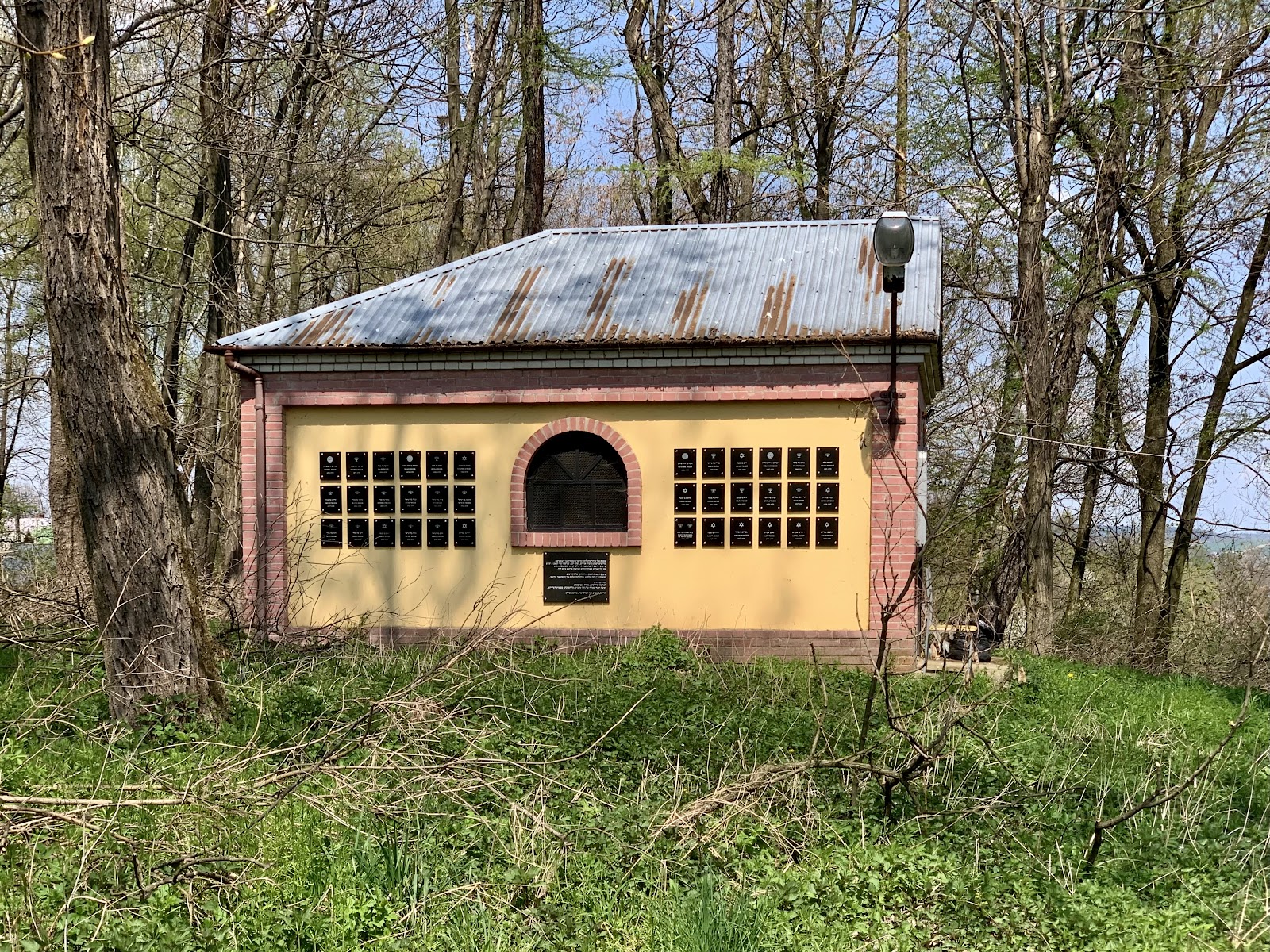 Dynov Jewish Cemetery / kever area