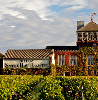 Bordeaux: Château Smith Haut Lafitte