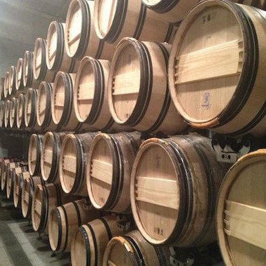 Martin Estate in Napa Valley