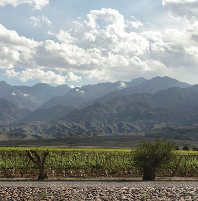 Michel Rolland and the patrons of Clos de los Siete in Argentina