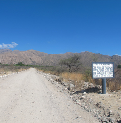 Yacochuya winery: Michel Rolland's Argentine miracle