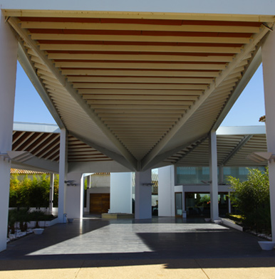 Bodegas Real: making wine with a modern twist in Quixote's land
