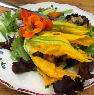 Oliviera: where the olive god rules over natural home cuisine