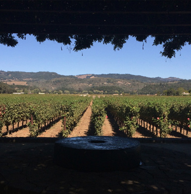 Heitz Wine Cellars: tradition without opulence in winemaking Napa Valley