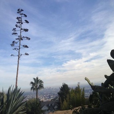 Los Angeles: the city of staring surprises