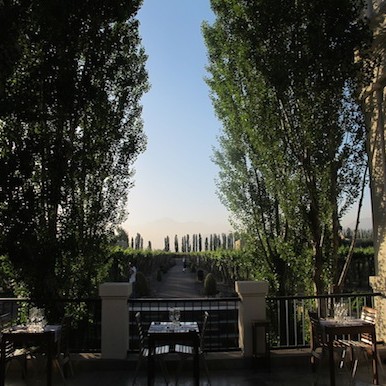 Mendoza: feed your senses where Andes meet the vines of Argentina