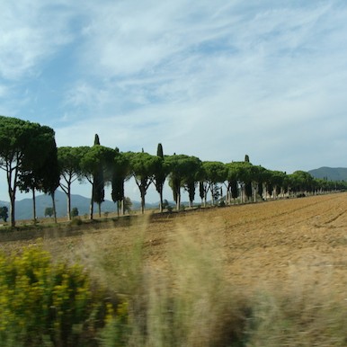 L´Andana: the shrine of calm and relaxation in coastal Tuscany