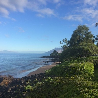Maui: beauty of volcanic force and boundless biodiversity in the midst of Pacific