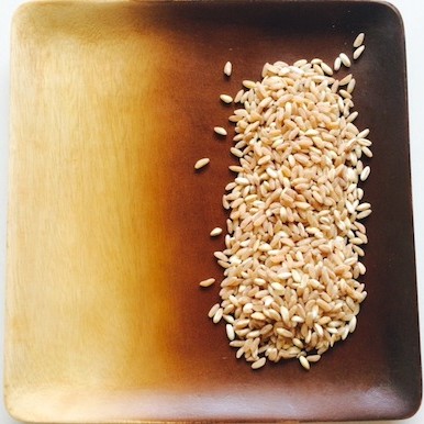 Dan Barber: The Third Plate