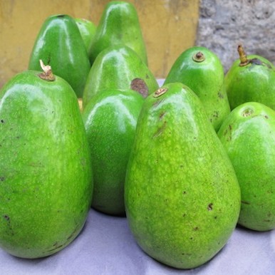 Avocado: a fruit that is not sweet but versatile