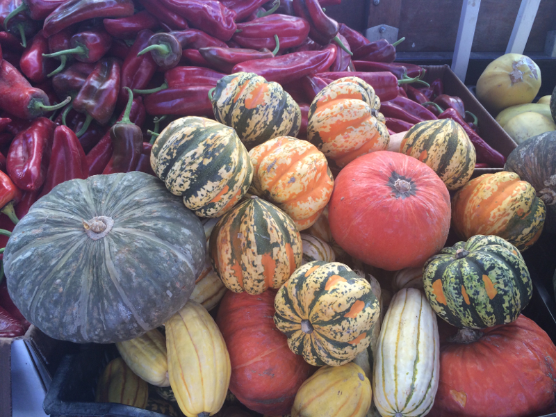 Autumn Squash