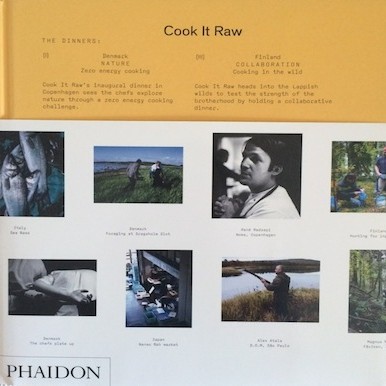 Cook It Raw: the world's best chefs challenge survival