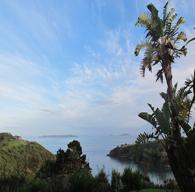 Waiheke Island: the bohemian spirit of New Zealand