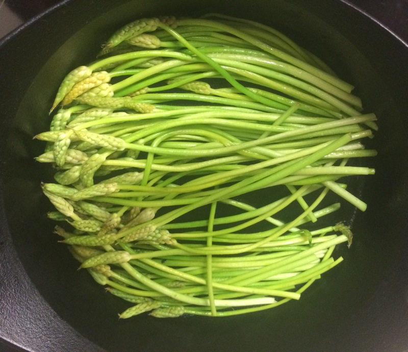 Spring wild asparagus