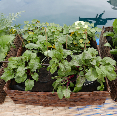 Route du Gout: the road to organic Monaco