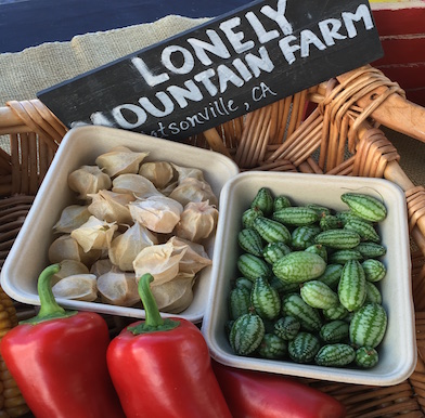 Biodiversity celebrated at the San Francisco Ferry Plaza farmers market