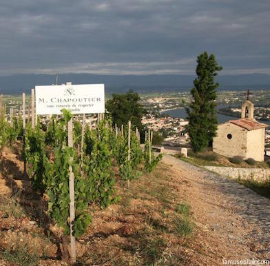 Iconic Rhône vineyards: a photo essay