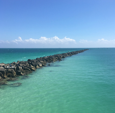 Rejuvenate on the Miami beach through organic food, spa, yoga and the ocean
