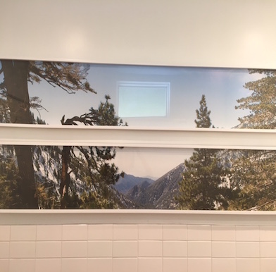 Little Pine: Moby's gourmet venture into vegan food