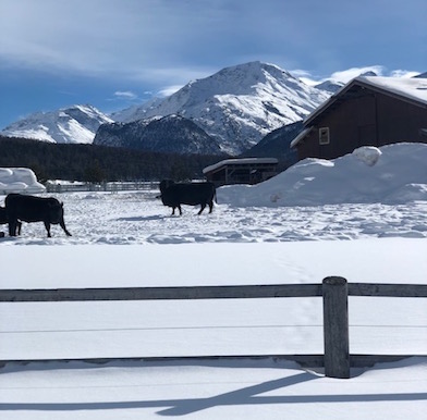 Stüvas at Chesa Rosatsch: Slow Food between Dolomites and Swiss Alps