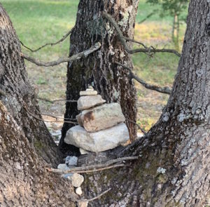 Forest Bathing by Dr Quing Li: BETTER MIND, MOOD AND HEALTH FROM THE FOREST