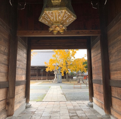 Photo essay: Autumnal beauty and poetry of Kyoto