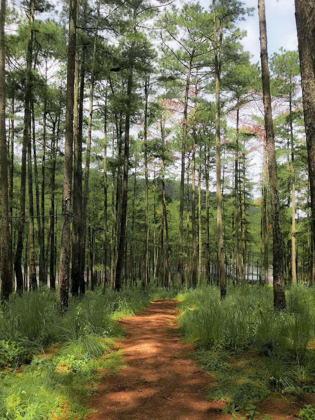 Recognizing Land Zoning Regulations