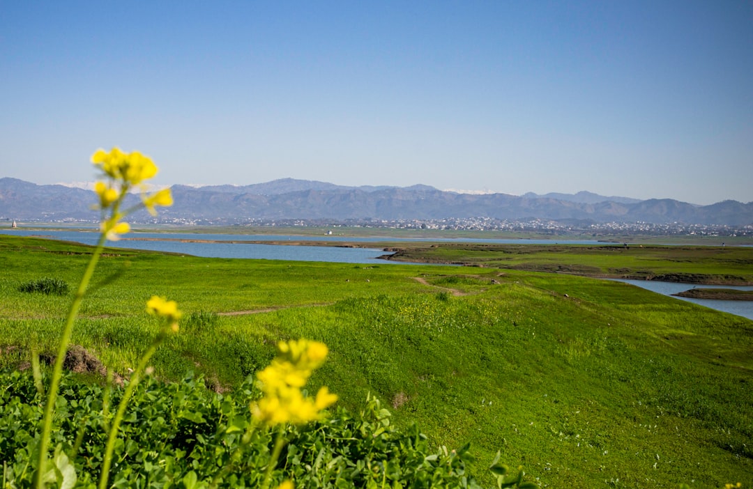 Document requirements when selling land for cash