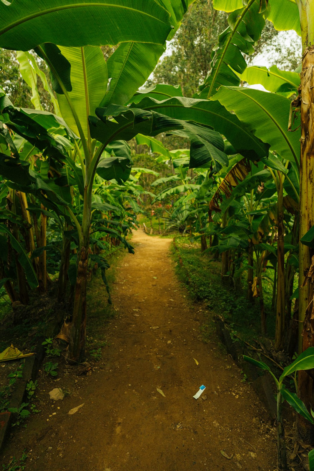 Preparing for Your Land Acquisition