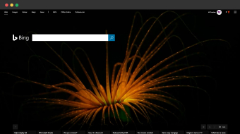 WiseKick bing search page WiseKick bing search