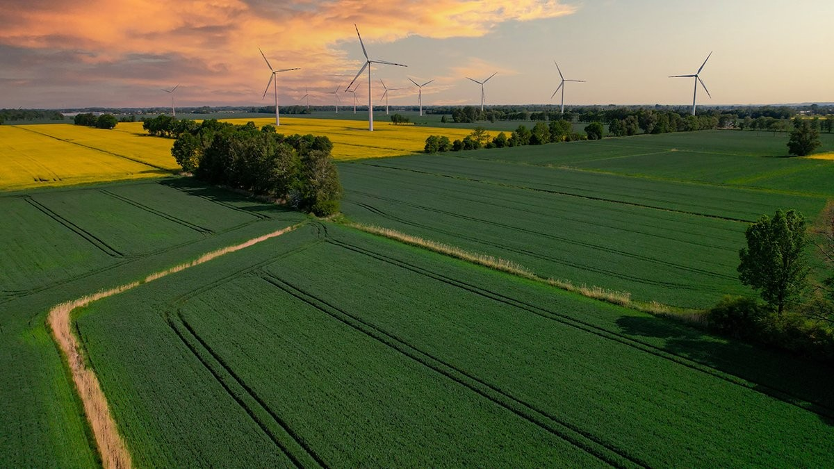 Harnessing Multiple Revenue Streams The Future of Land Investment