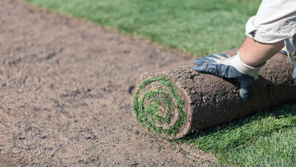 sketchup garden design