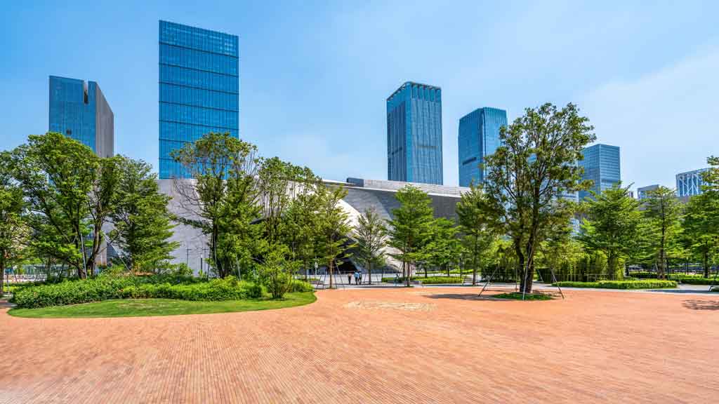 desert landscape front yard
