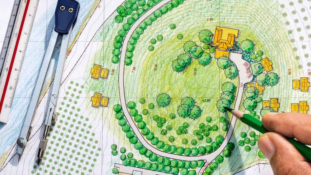 lawn landscape design