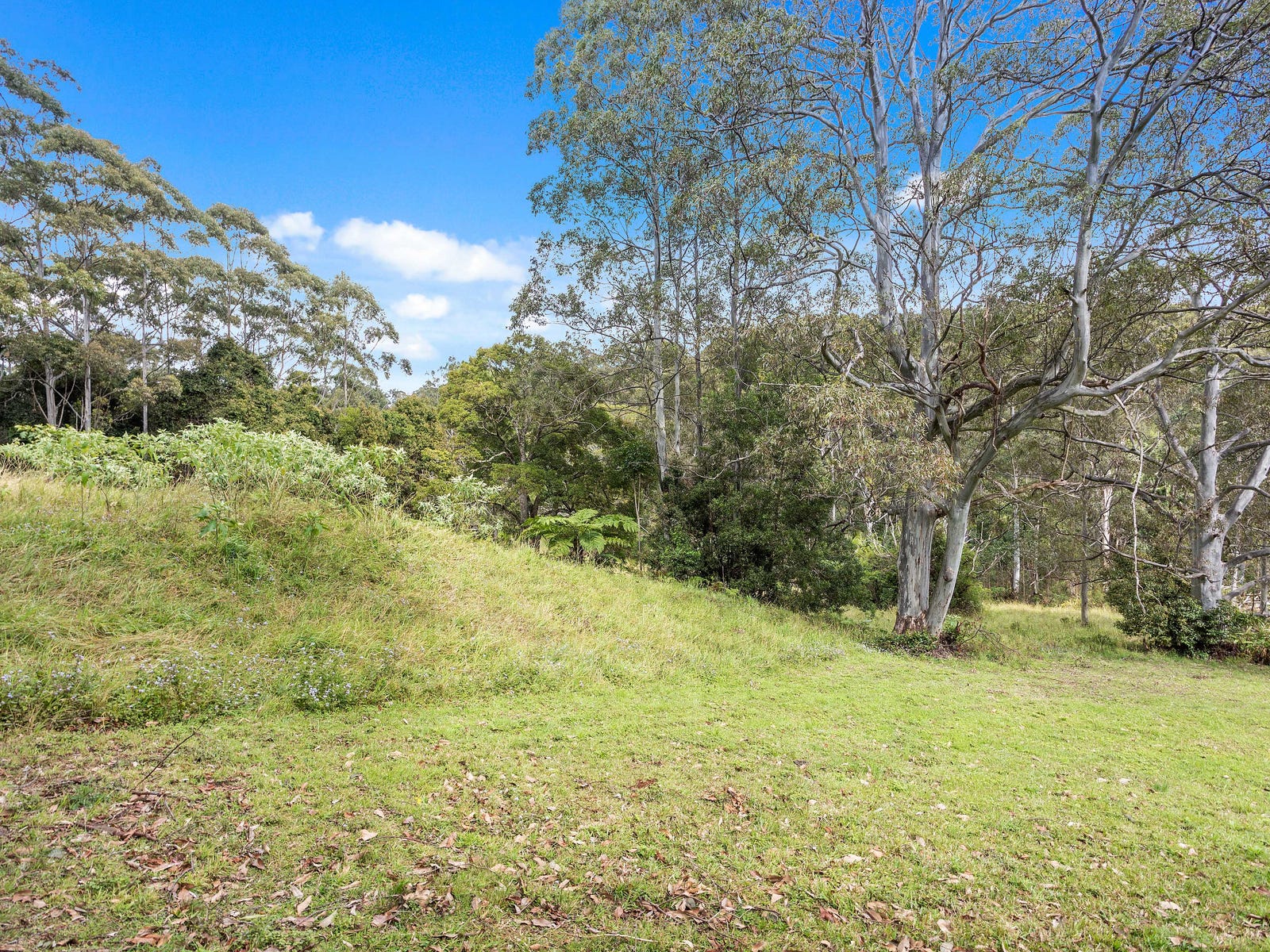 Land For Sale: Beechmont, Qld 4211