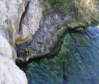 A spring in the Barton Springs segment of the Edwards Aquifer, a limestone system that supplies water to San Antonio and surrounding communities. / Photo by USGS