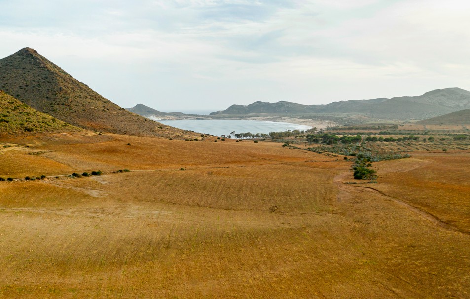 Buy Land Online Safely in 2026: A Complete Guide for First-Time Buyers