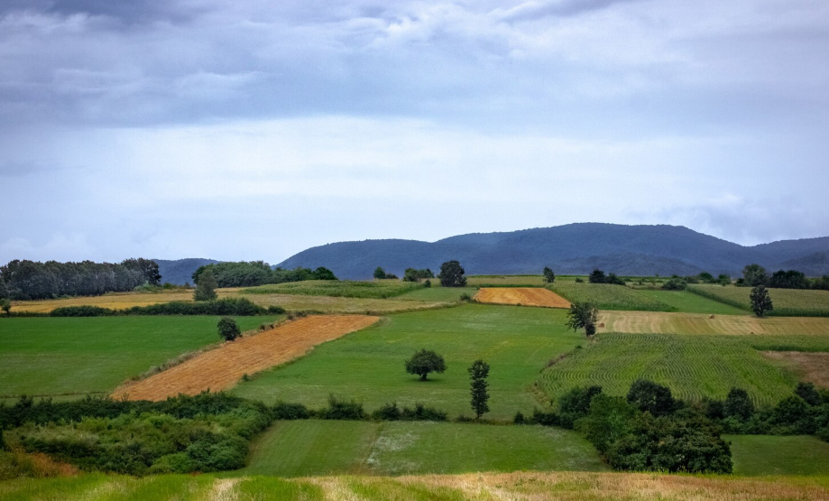 Buying Land in Coconino County, Arizona: Williams and Flagstaff